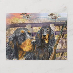 Gordon Setter auf einer Jagdgeschenke Postkarte