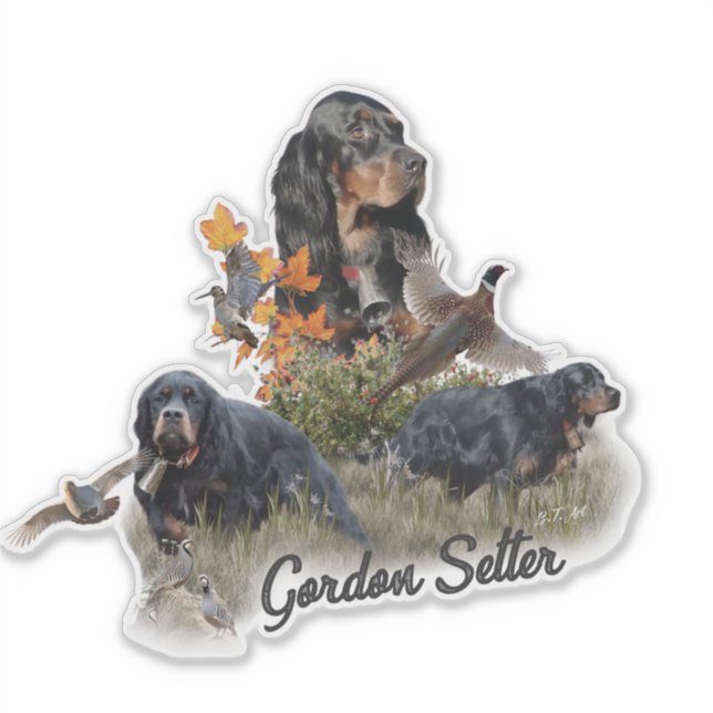 Gordon Setter Aufkleber (Vorderseite)
