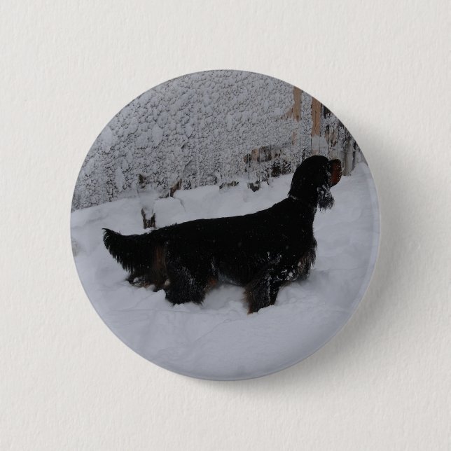 Gordon Setter Button (Vorderseite)