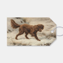 Gordon Setter Dog in einer schneesicheren Winterla