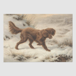 Gordon Setter Dog in einer schneesicheren Winterla Seidenpapier