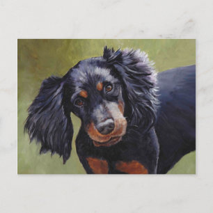 Gordon Setter Dog Postkarte