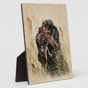 Gordon Setter, Entenjagd Fotoplatte