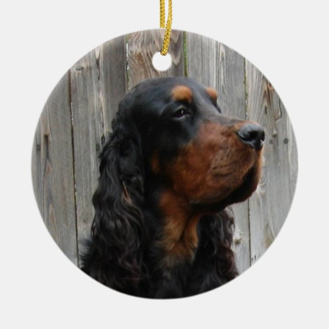Gordon Setter Foto Ornament (Vorne)
