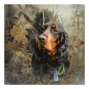 Gordon Setter Fotodruck