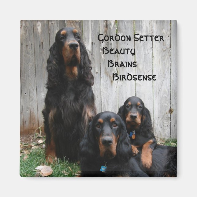 Gordon Setter Generations Magnet (Vorne)