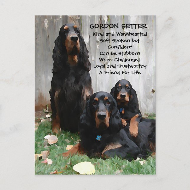 Gordon Setter Generations Painting Postcard Postkarte (Vorderseite)