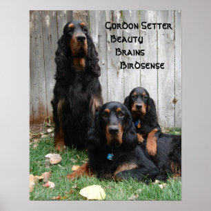 Gordon Setter Generations Poster