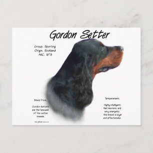 Gordon Setter History Design Postkarte