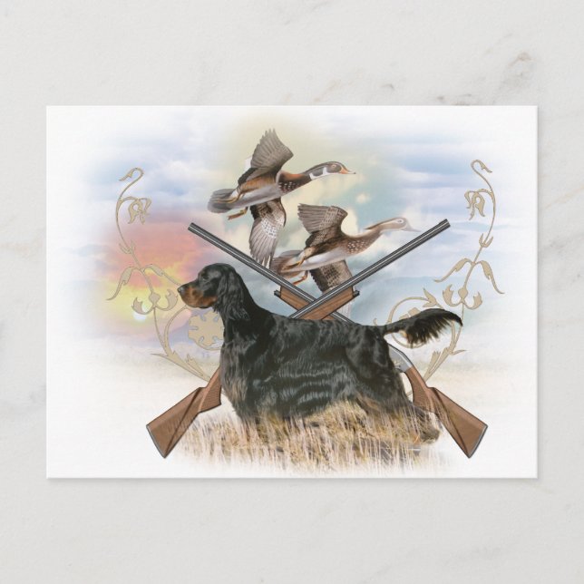 Gordon Setter Hunts Postkarte (Vorderseite)