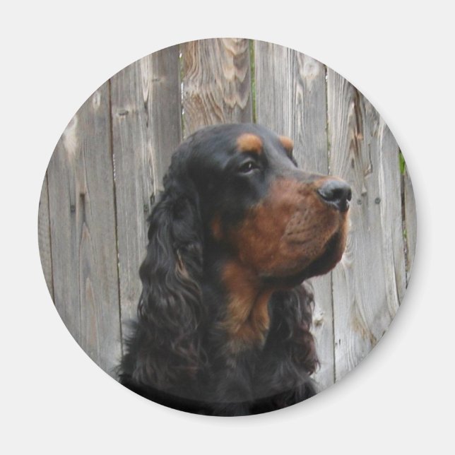 Gordon Setter Magnet (Vorne)
