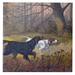 Gordon Setter on Point Fliese