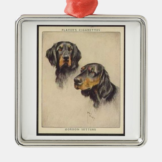 Gordon Setter Player Cigarette Card Ornament (Vorne)