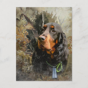 Gordon Setter Postkarte