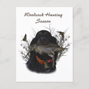 Gordon Setter Postkarte