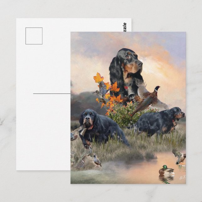 Gordon Setter Postkarte (Vorne/Hinten)