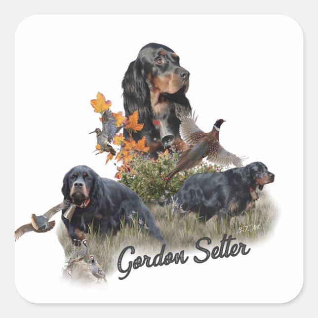 Gordon Setter Quadratischer Aufkleber (Vorderseite)