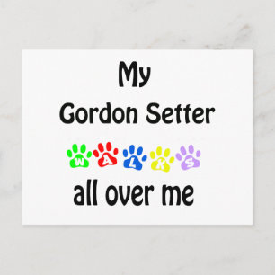 Gordon Setter Walks Design Postkarte