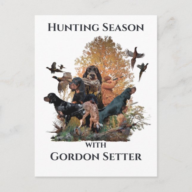 Gordon setters , Art Postkarte (Vorderseite)