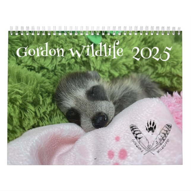 Gordon Wildlife Raccoon Kalender 2025 (Titelbild)