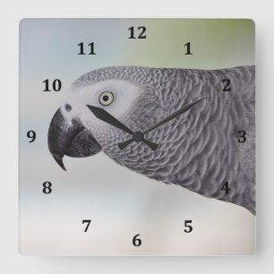 Gorgeous African Grey Parrot Quadratische Wanduhr