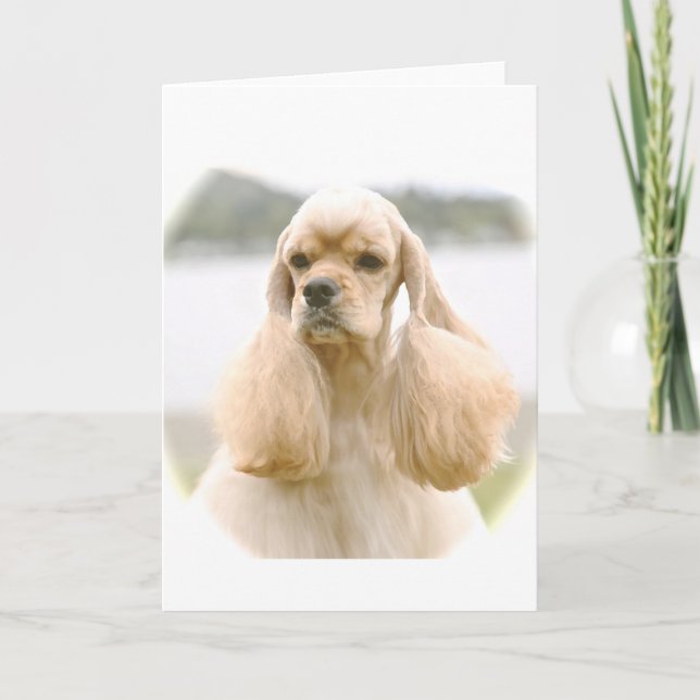 Gorgeous American Cocker Spaniel Karte (Vorderseite)