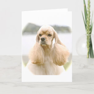 Gorgeous American Cocker Spaniel Karte