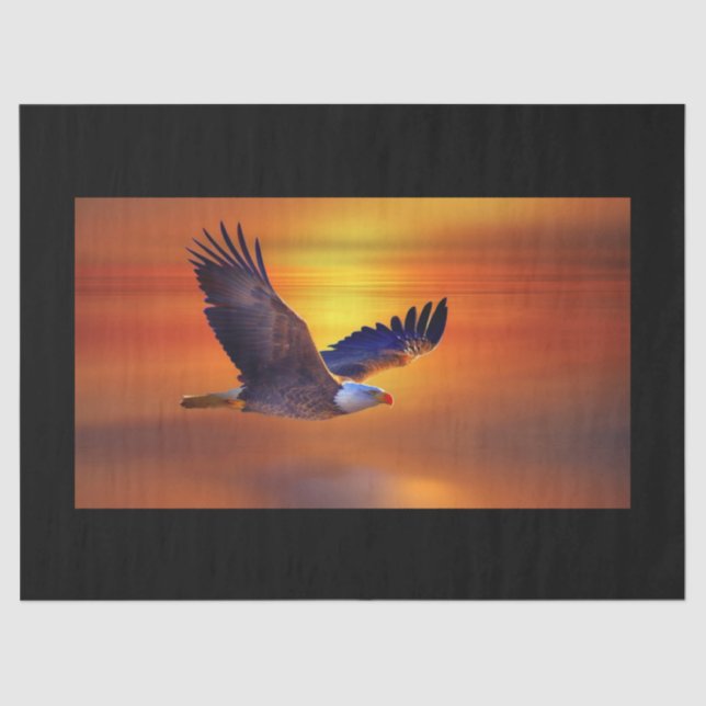 Gorgeous Bald Adler Flight Sunset Seidenpapier (Vorderseite)