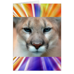 GORGEOUS COUGAR