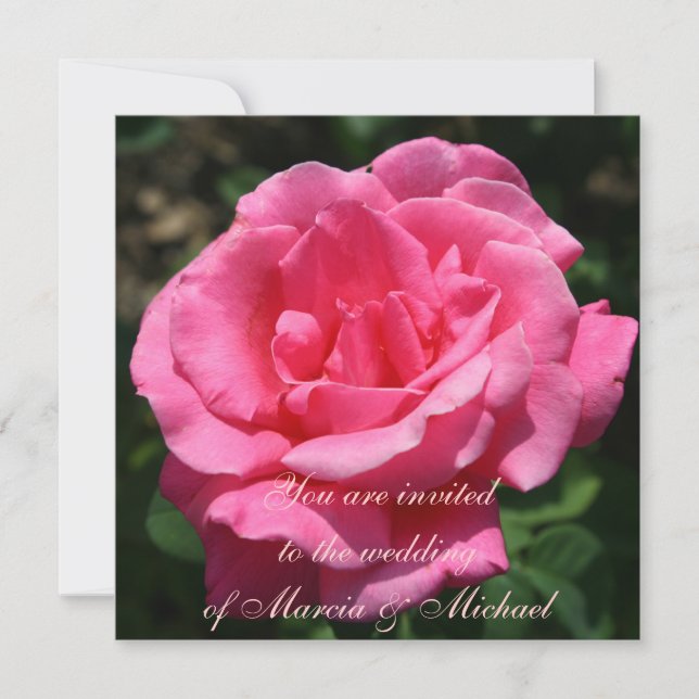 Gorgeous Deep Pink Rose Einladung (Vorderseite)