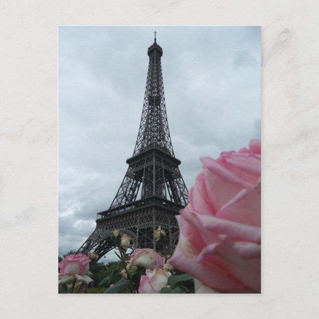 Gorgeous Eiffel Tower Pink Roses Foto Card Postkarte (Vorderseite)