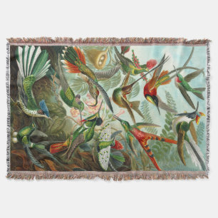 Gorgeous Ernst Haeckel Hummingbirds Decke
