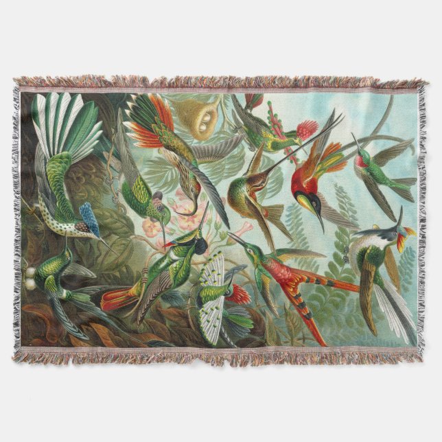 Gorgeous Ernst Haeckel Hummingbirds Decke (Vorderseite)