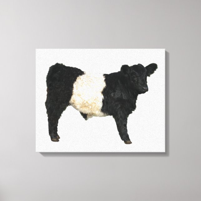 Gorgeous Galloway Steer Cutout Beltie Geschenk Leinwanddruck (Vorderseite)