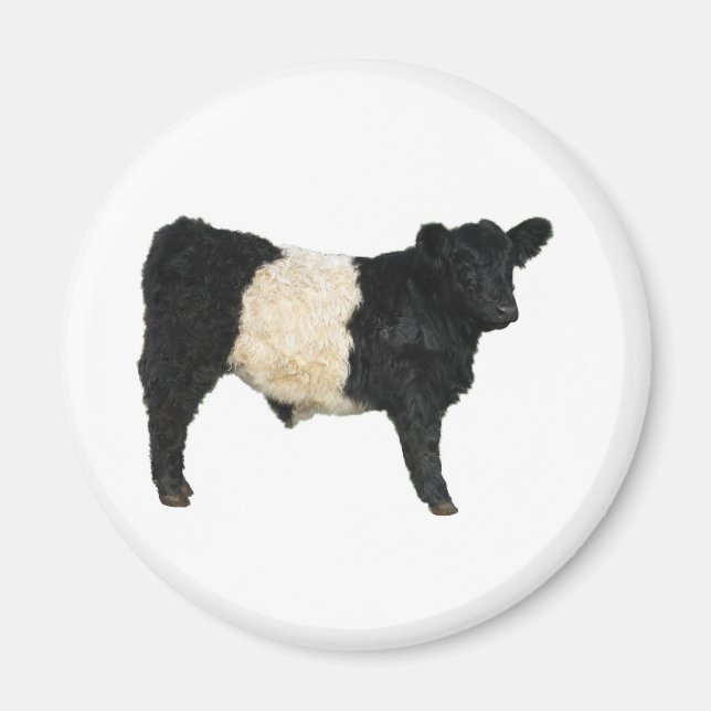 Gorgeous Galloway Steer Cutout Magnet (Vorne)