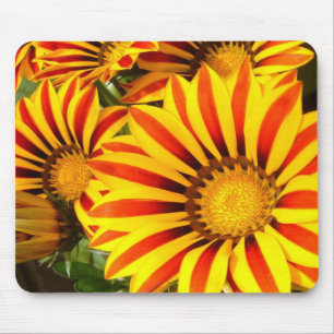 Gorgeous Gazania Mousepad
