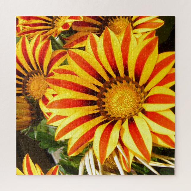 Gorgeous Gazania Puzzle (Vertikal)