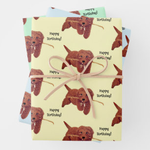 Gorgeous Golden Doodle Geschenkpapier Set