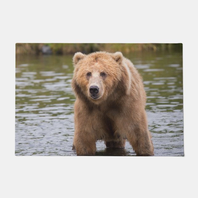 Gorgeous Kodiak Braunbär Fußmatte (Vorderseite)