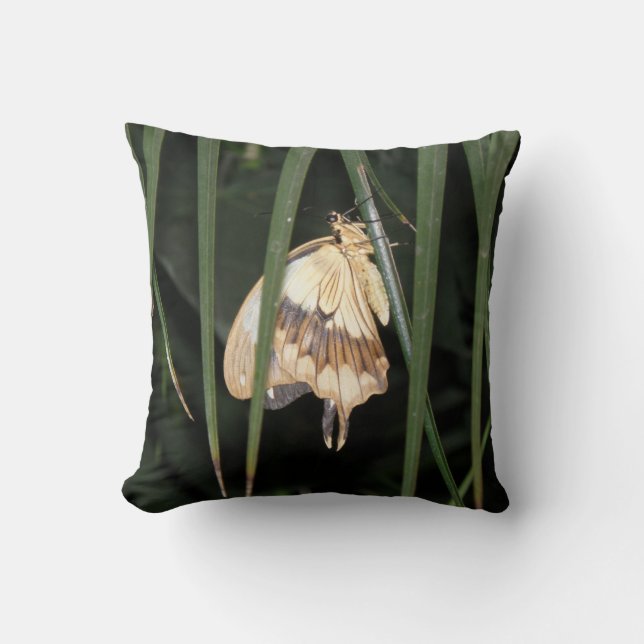 Gorgeous Moth Pillow Kissen (Vorderseite)