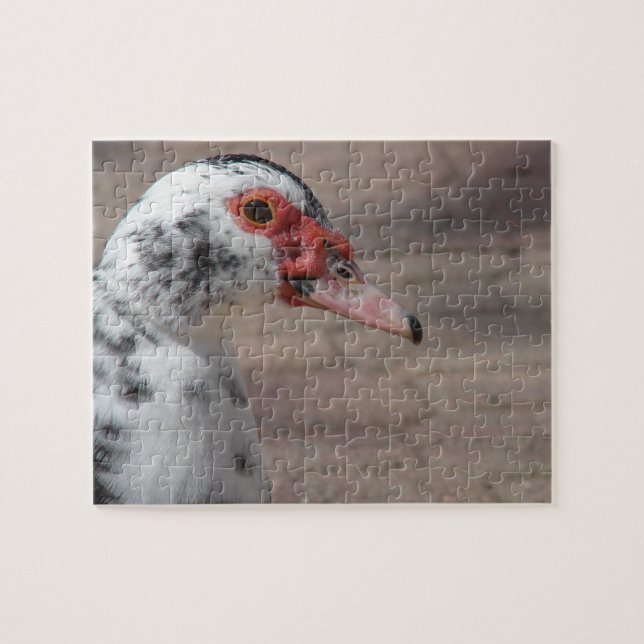 Gorgeous Muscovy Hen Duck Puzzle (Horizontal)