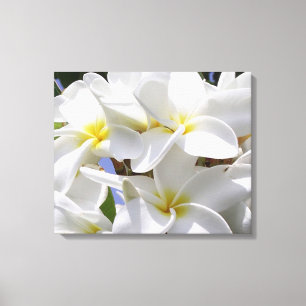 Gorgeous Plumeria Wrapped Canvas Leinwanddruck