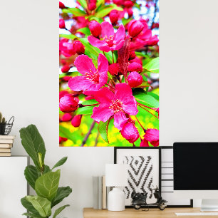 Gorgeous Red Barron Crabapple Foto Poster