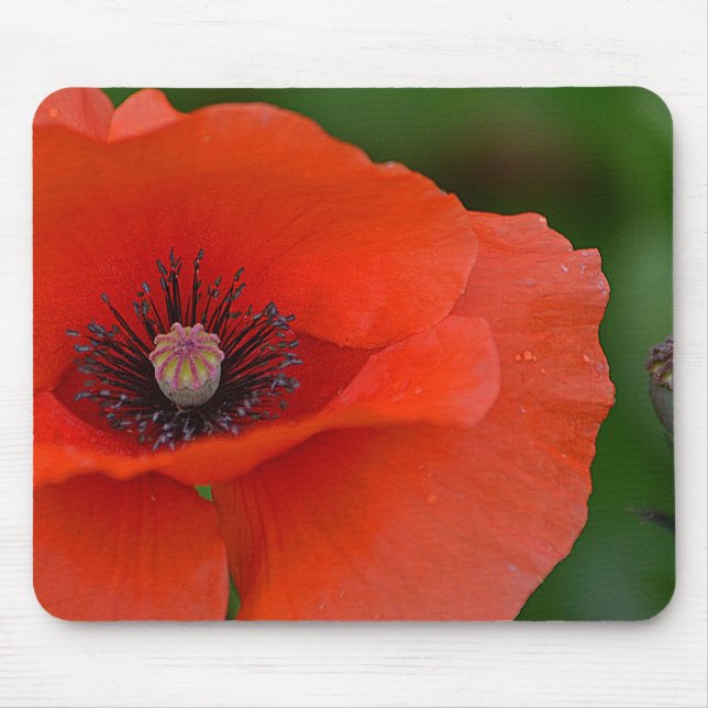 Gorgeous Red Poppy Mousepad (Vorne)