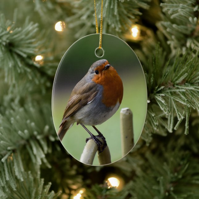 Gorgeous Robin Keramik Ornament (Baum)
