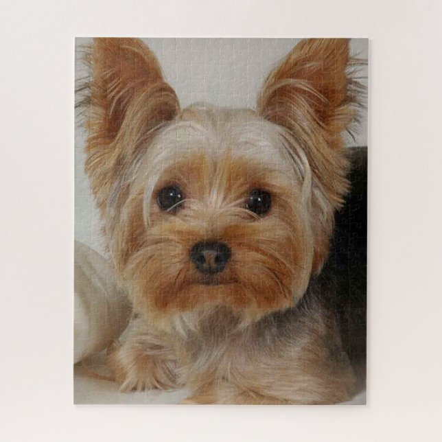 Gorgeous Yorkshire Terrier Puzzle (Vertikal)