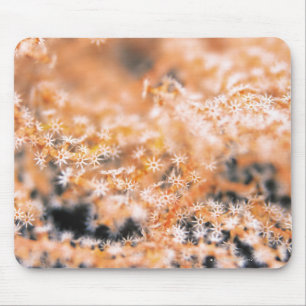 Gorgonian Koralle 2 Mousepad