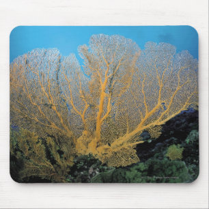 Gorgonian Koralle Mousepad