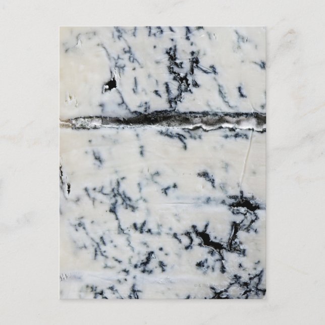 Gorgonzola Cheese Postkarte (Vorderseite)