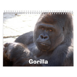 Gorilla_004, Gorilla Kalender